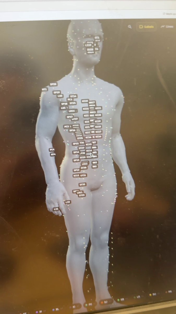 3D Acupuncture App Design