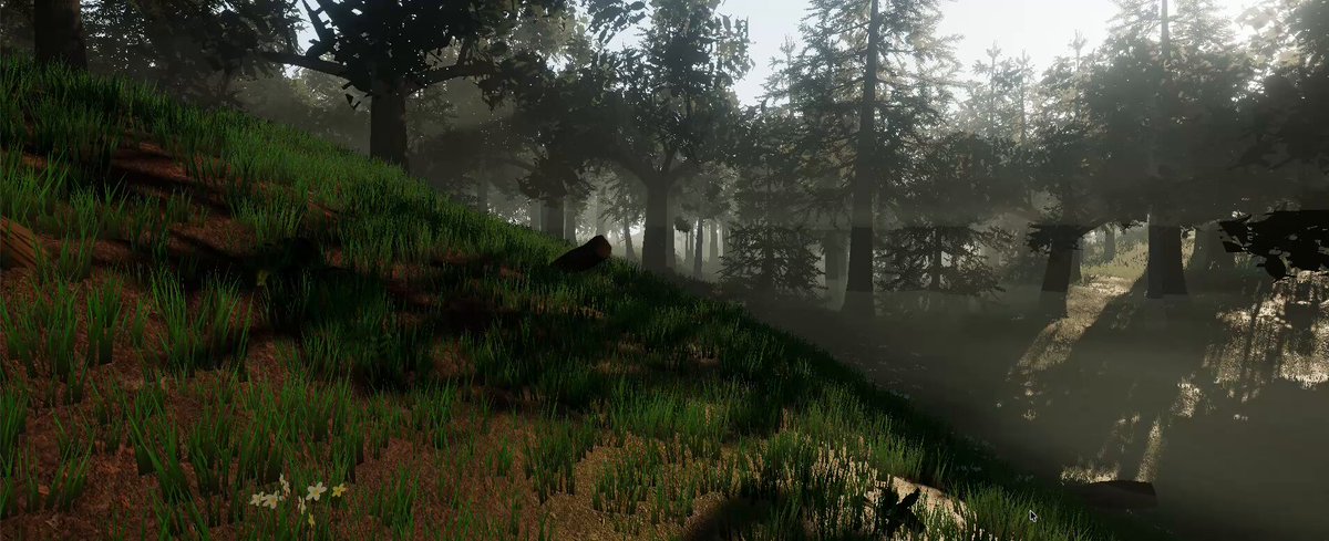 Fable 3D Forest World