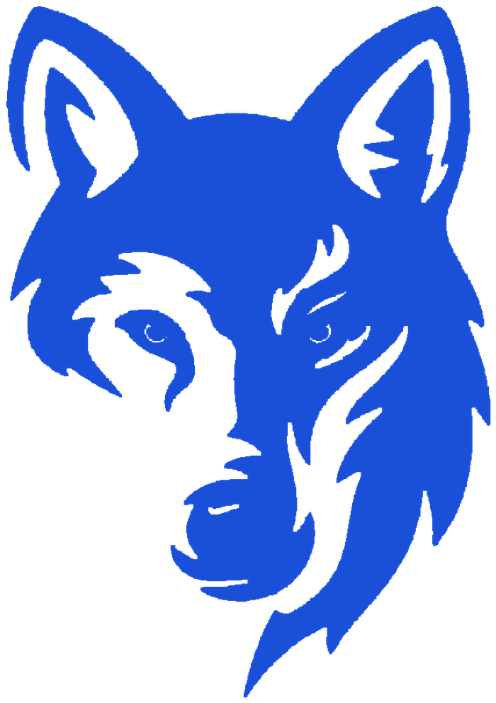 Ferox OS